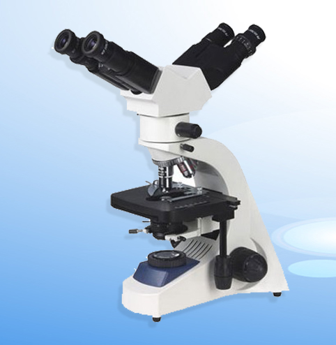 �̌W(xu��)�������@΢�R XSP-14A�r��